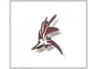 Premium Metal Name Badges With Magnetic Back for a Professional Business Image in