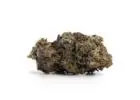 Buy Vanilla Ice Cream Cake Strain Online Canada 