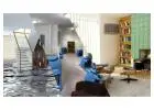 Looking for Water Damage Service with Fast Response?
