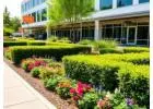Boost Business Appeal with Commercial Landscape Orlando, FL