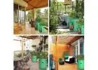Grow Bags for Easy Container Gardening in Any Outdoor Space
