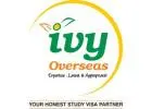 Best Overseas education consultants in Hyderabad