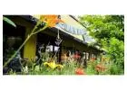 Farm To Table Cafe Minneapolis