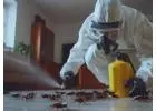 Expert Pest Control Bath for Homes & Businesses