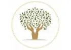 Hospice Near Me Dallas – Compassionate Care for Your Loved Ones | Holding Hands  Hospice