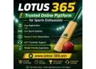 Lotus 365 – Trusted Online Platform for Sports Enthusiasts