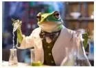 Chemistry Party Magic | Science Party Animals Fun