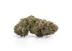 Looking for Premium Master Kush? Shop Online Today