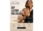 Premium Handmade Leather Dog Collar for Everyday Comfort