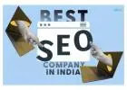 Professional SEO Agency in India for Sustainable Search Growth