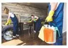 Professional Deep Cleaning