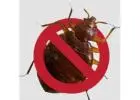 Pest Control St George | Bug Free Pest Control