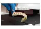 Cosmetic Dentist Penrith | Avira Dental