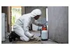 Rodent Pest Control | CPR Pest Services