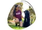 Book a West Hollywood Dog Walker – Westcoastpaws
