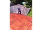 Roof Pressure Cleaning Adelaide – Remove Moss & Dirt Fast