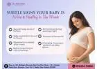 Consult the Best Gynecologist in Greater Noida