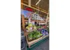 East West Market