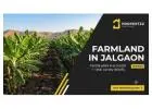 Explore Agricultural Land in Jalgaon — Verified Fertile Farm Plots | Propertzz