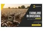 Search Agricultural Land in Bhusawal — Learn About Fertile Farmland | Propertzz