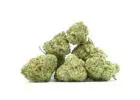 Double OG Popcorn Strain: Aroma, Flavor, and What to Expect