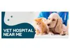 Vet Hospital Near Me  | CGS Hospital
