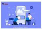 Web Application Company in Noida | Rexcel IT Services