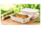Sugar Cane Food Containers for Sustainable Food Packaging