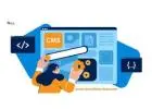 CMS Development Company in Noida | Rexcel IT Services