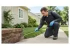 Trusted Bristol pest control quick solutions for home and office