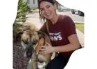 Local Dog Sitters in Long Beach CA | westcoastpaws