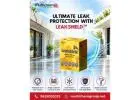 Leakshield Waterproofing Solution for Roof & Wall Leakage