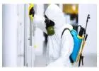 Professional Exterminators Swindon for Fast Pest Solutions
