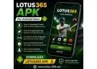 Lotus365 APK – Easy Mobile Access for Sports Enthusiasts