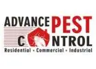 Vancouver pest control