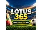 Lotus 365 – Explore an Online Entertainment Platform