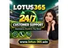 Lotus365 24/7 Customer Support – Assistance Anytime You Need