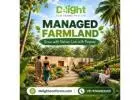 Managed Farmland in Sakleshpur – A Nature-Focused Farm Property Opportunity - Delightecofarms