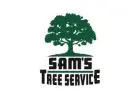 Tree Stump Removal in Sonoma County