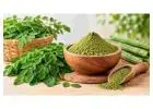 Bulk Moringa Powder Buying? Check These Supplier Factors