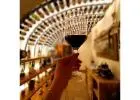 What is the best deluxe food tasting experience in Rome?
