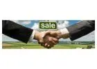 Business Consulting Spain