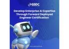 Develop Enterprise AI Expertise Through Forward Deployed Engineer Certification