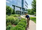 Transform Your Orlando Yard With Beautiful Outdoor Design Ideas