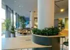 Plant Hire Melbourne for a Greener Workplace