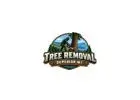 Tree Removal Superior WI