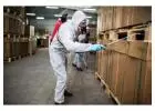 Pest Control in Bristol and Effective Treatment Options